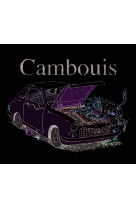 Cambouis