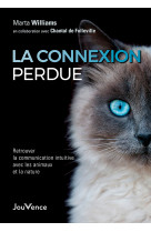 La connexion perdue