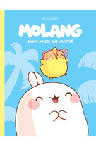 Molang - tome 2 - grand soleil sur l amitié