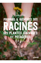 Pouvoirs & bienfaits des racines des plantes sauvages et potagères - pommades, teintures, infusions, vins, fumigations, recettes gou