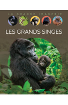 Les grands singes