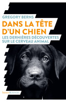 Dans la tête d'un chien