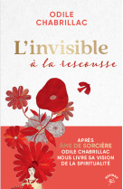 L'invisible à la rescousse