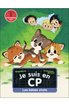Les bébés chats