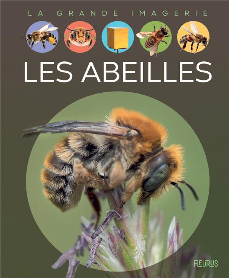 LES ABEILLES - BOCCADOR SABINE - FLEURUS