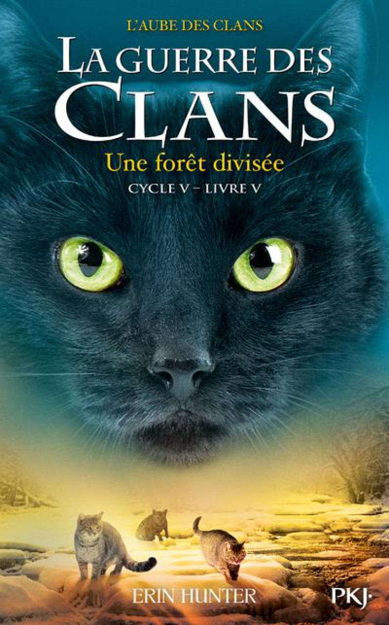 LA GUERRE DES CLANS - CYCLE V L-AUBE DES CLANS - TOME 5 UNE FORET DIVISEE - VOL05 - CARLIER AUDE - POCKET