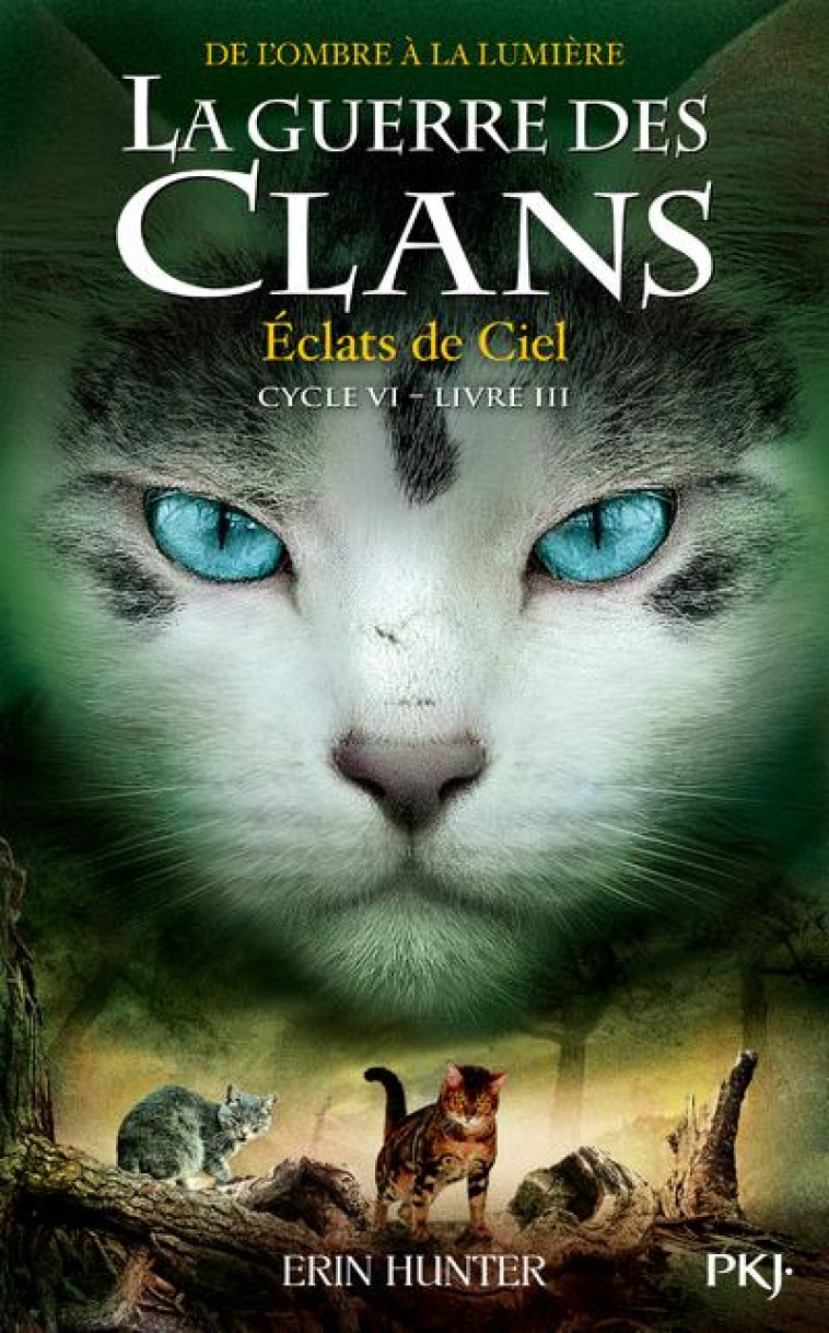 LA GUERRE DES CLANS, CYCLE VI - TOME 3 ECLATS DE CIEL - HUNTER ERIN - POCKET