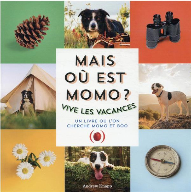 MAIS OU EST MOMO ? - VIVE LES VACANCES ! - KNAPP ANDREW - GRANDES PERSONN