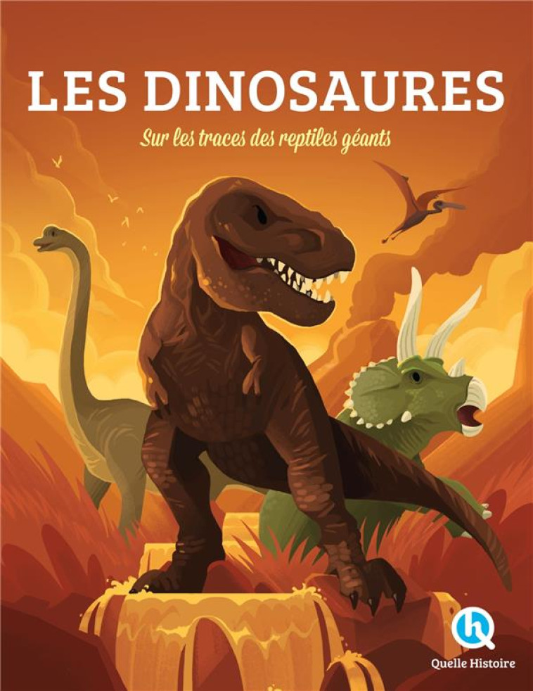 LES DINOSAURES - SUR LES TRACES DES REPTILES GEANTS - XXX - QUELLE HISTOIRE