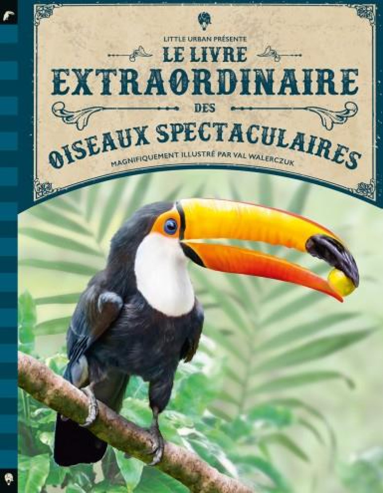 LE LIVRE EXTRAORDINAIRE - T08 - LE LIVRE EXTRAORDINAIRE DES OISEAUX SPECTACULAIRES - JACKSON TOM - LITTLE URBAN