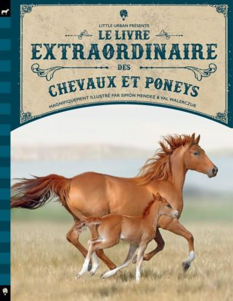 LE LIVRE EXTRAORDINAIRE DES CHEVAUX - JACKSON TOM - LITTLE URBAN