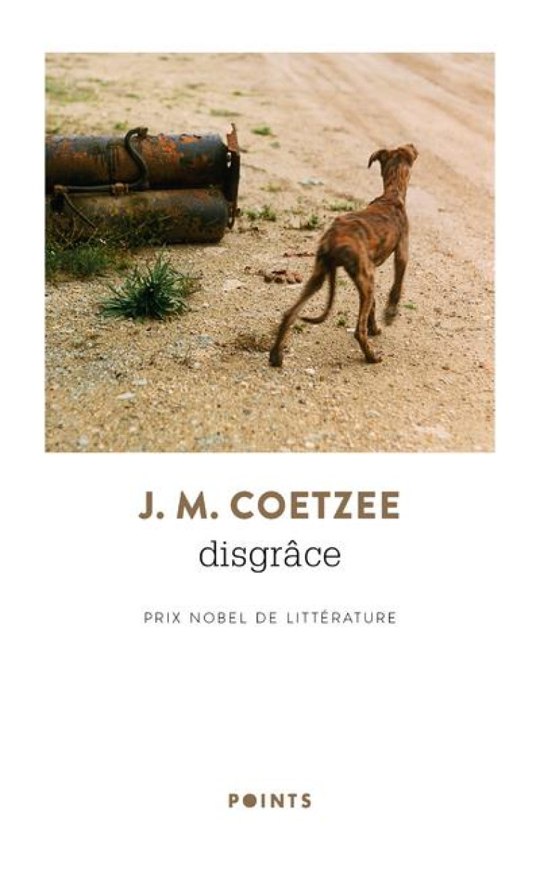 DISGRACE - COETZEE JOHN MAXWELL - POINTS