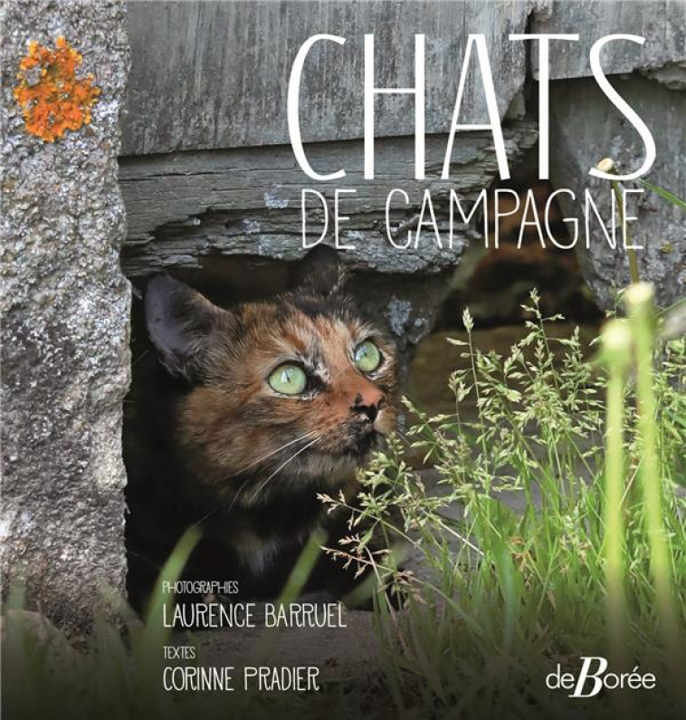 CHATS DE CAMPAGNE - PRADIER/BARRUEL - DE BOREE