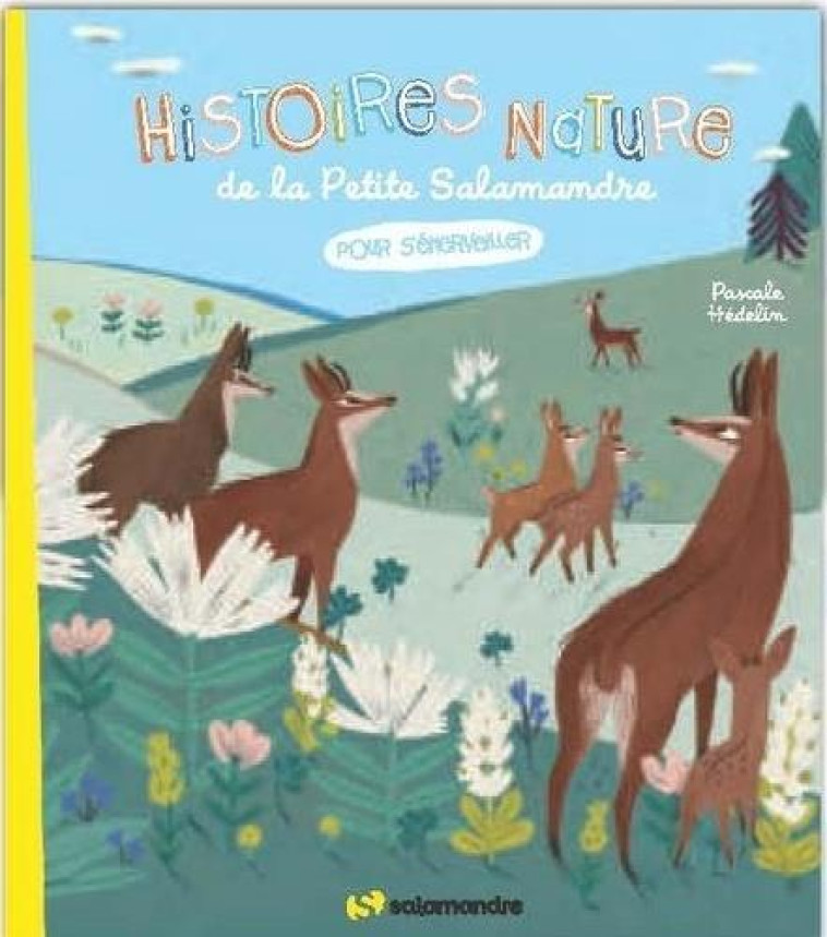 HISTOIRES NATURE DE LA PETITE SALAMANDRE - POUR S-EMERVEILLER - HEDELIN PASCALE - LA SALAMANDRE