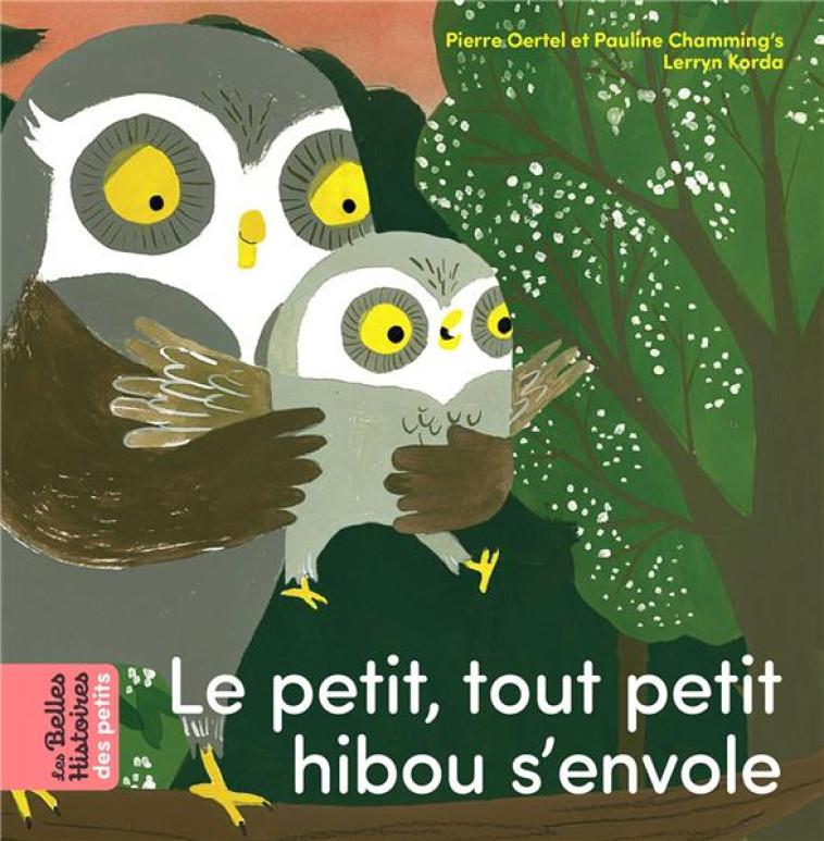 LE PETIT, TOUT PETIT HIBOU S-ENVOLE - PIERRE OERTEL/KORDA - BAYARD JEUNESSE