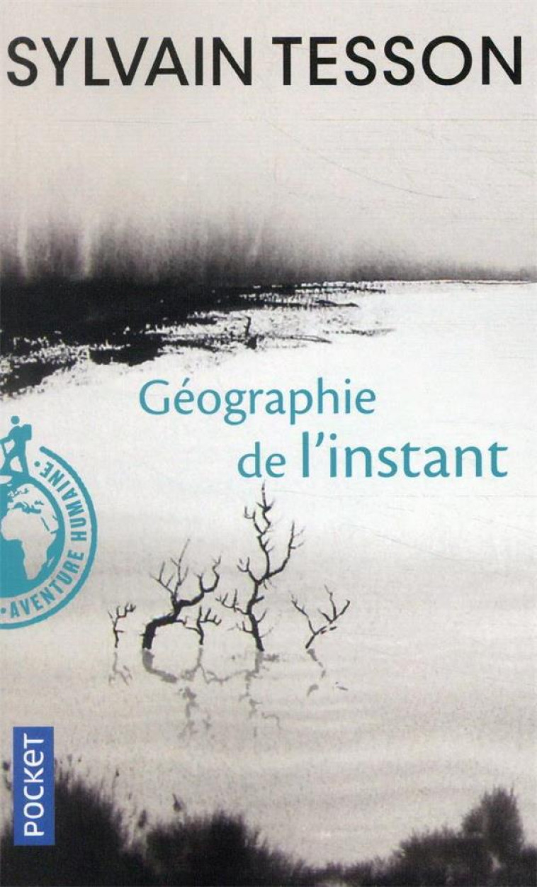 GEOGRAPHIE DE L-INSTANT - TESSON SYLVAIN - Pocket