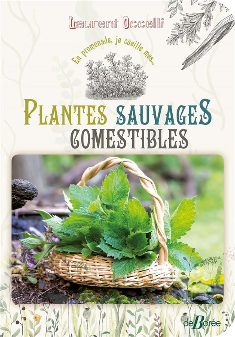 PLANTES SAUVAGES COMESTIBLES - OCCELLI LAURENT - DE BOREE