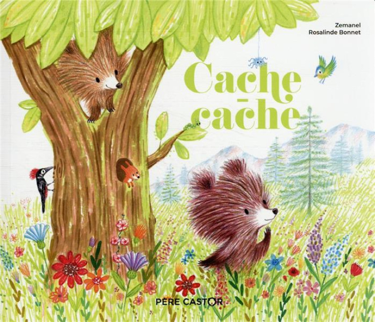 CACHE-CACHE - ZEMANEL/BONNET - FLAMMARION