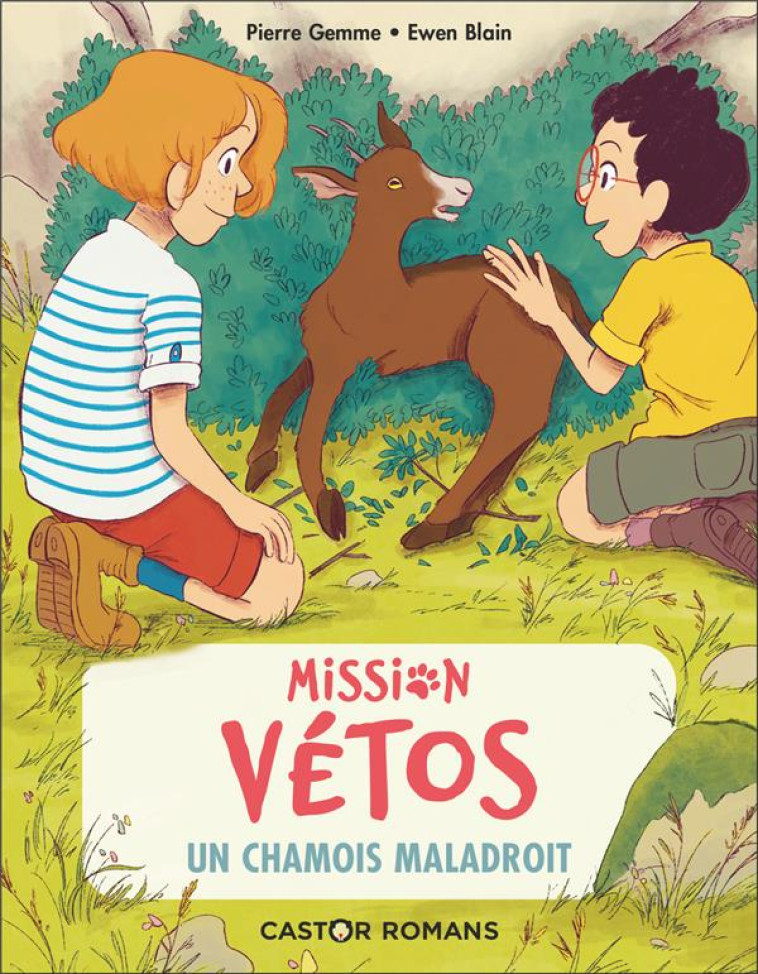 MISSION VETOS - T09 - UN CHAMOIS MALADROIT - GEMME/BLAIN - FLAMMARION