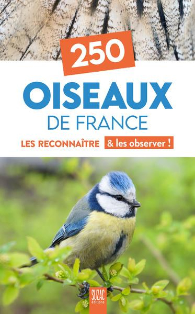 250 OISEAUX DE FRANCE - LES RECONNAITRE & LES OBSERVER ! - COLLECTIF - DU LUMIGNON