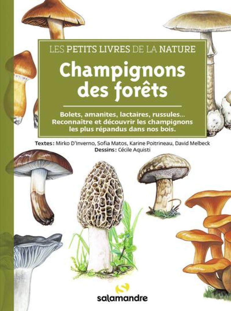 LES PETITS LIVRES DE LA NATURE - CHAMPIGNONS DES FORETS - D'INVERNO/MATOS - LA SALAMANDRE