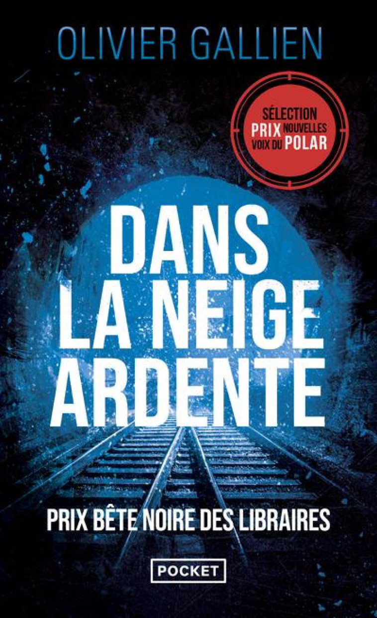 DANS LA NEIGE ARDENTE - GALLIEN OLIVIER - POCKET