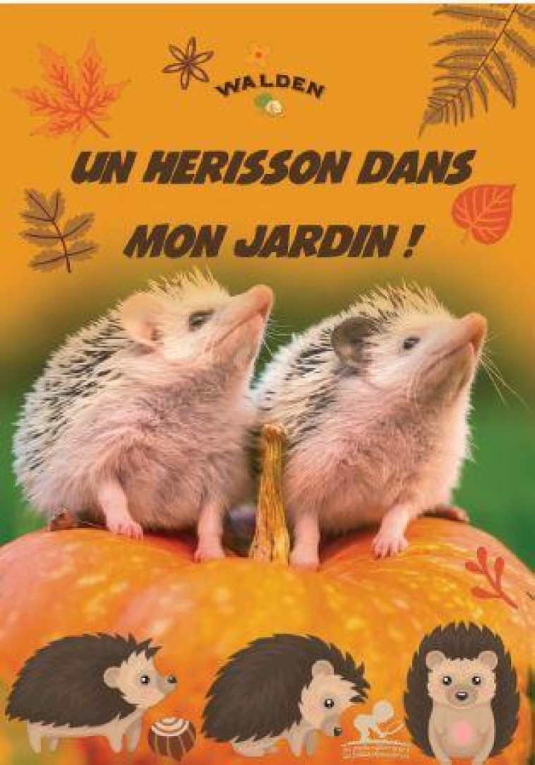 UN HERISSON DANS MON JARDIN - COLLECTIF - WALDEN