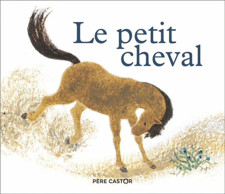 LE PETIT CHEVAL ET LE VIEUX CHAMEAU - FOURNIER/CHAPLET - FLAMMARION