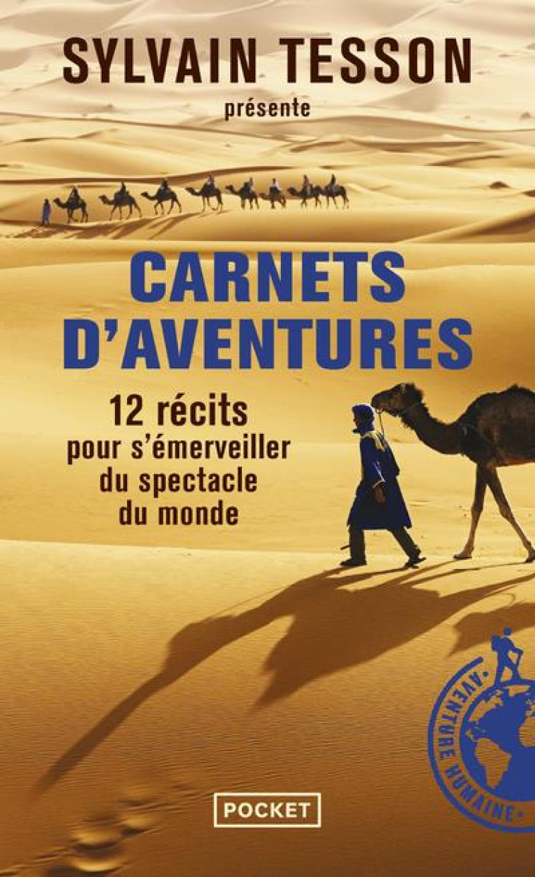 CARNETS D-AVENTURES - TESSON SYLVAIN - Pocket