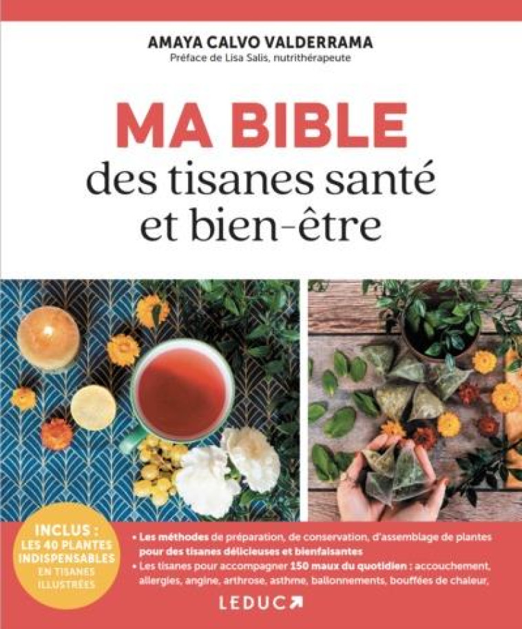 MA BIBLE DES TISANES SANTE ET BIEN-ETRE MAISON - CALVO VALDERRAMA - QUOTIDIEN MALIN