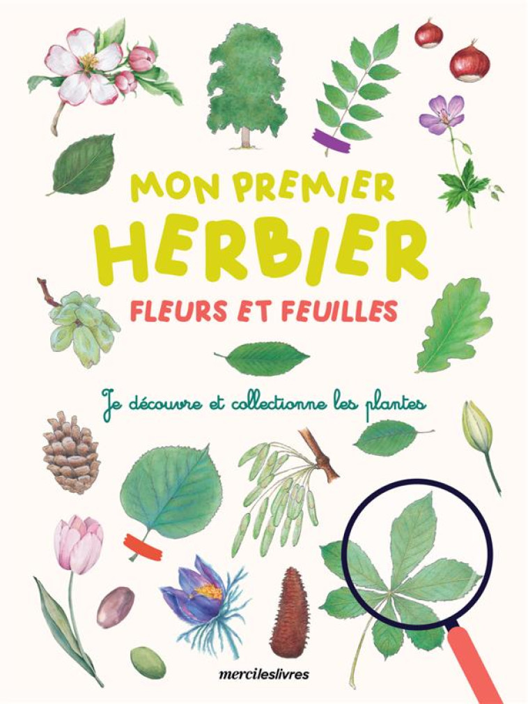 MON PREMIER HERBIER - FLEURS ET FEUILLES - JE DECOUVRE ET COLLECTIONNE LES PLANTES - COLLECTIF - MERCILESLIVRES