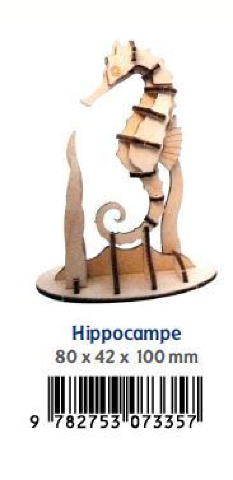 HIPPOCAMPE -  Collectif - PICCOLIA