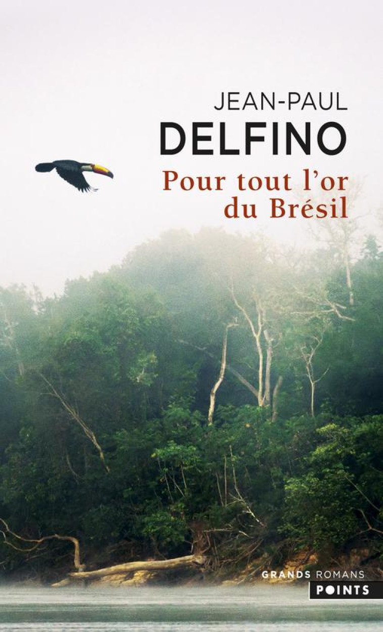 POUR TOUT L-OR DU BRESIL - DELFINO JEAN-PAUL - POINTS