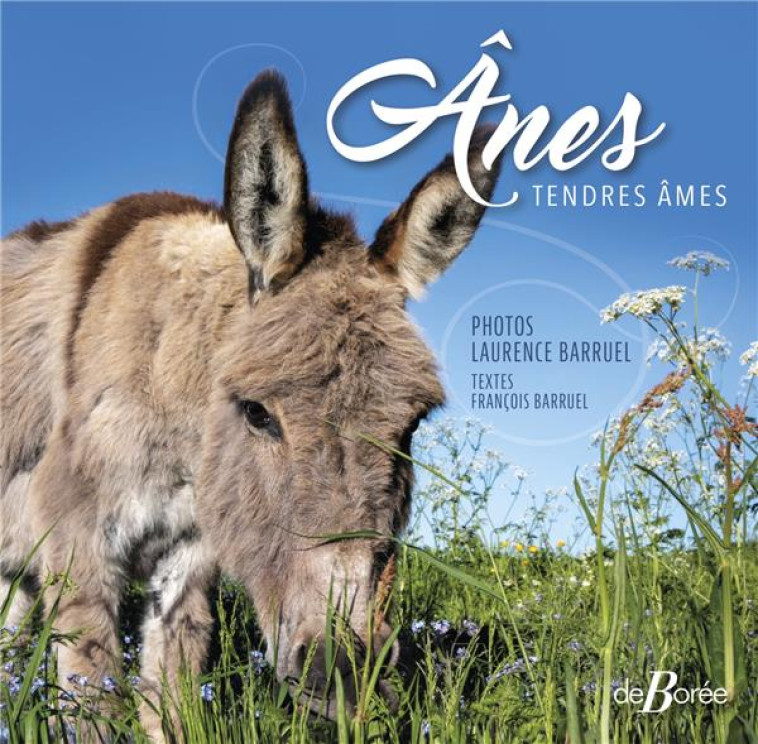 ANES - TENDRES AMES - BARRUEL - DE BOREE