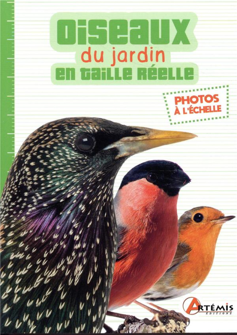 LES OISEAUX DU JARDIN EN TAILLE REELLE - COLLECTIF - ARTEMIS