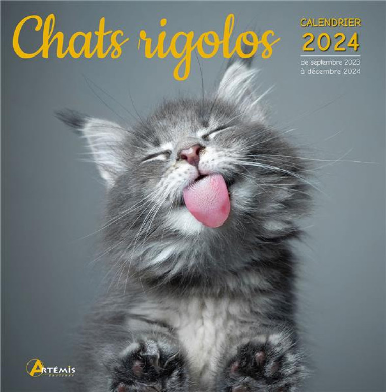 CALENDRIER CHATS RIGOLOS 2024 - XXX - NC