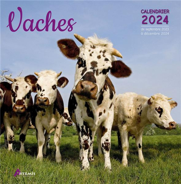 CALENDRIER VACHES 2024 - XXX - NC