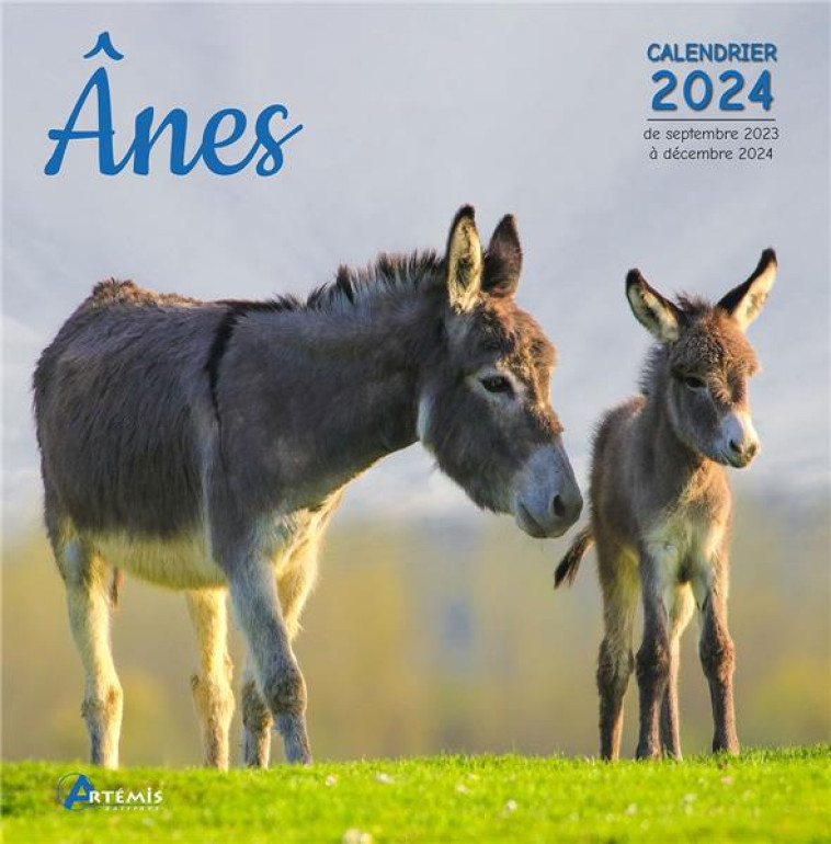 CALENDRIER ANES 2024 - XXX - NC