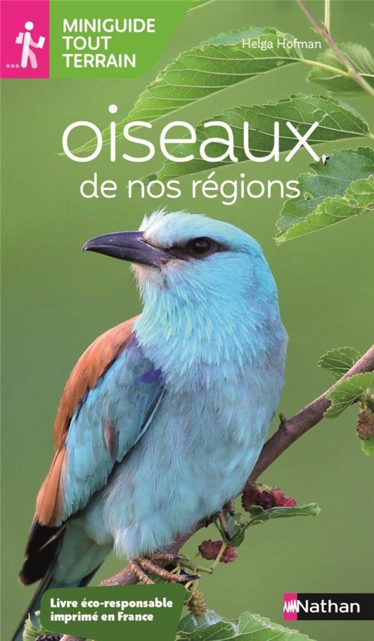 MINIGUIDE TOUT TERRAIN : OISEAUX DE NOS REGIONS - HOFMANN HELGA - CLE INTERNAT