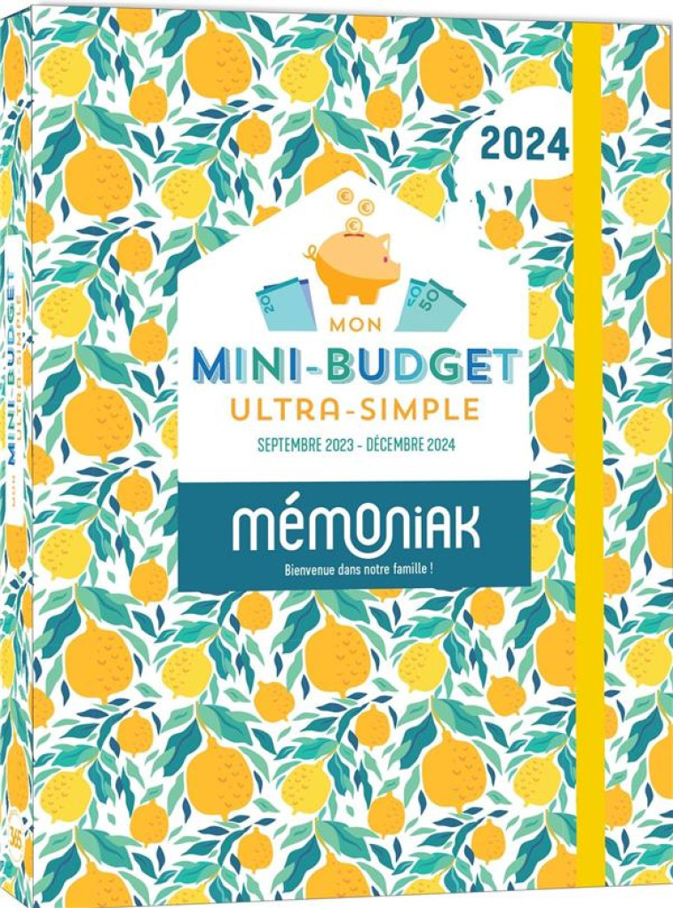 MON MINI-BUDGET ULTRA-SIMPLE MEMONIAK 2024, SEPT. 2023- DEC 2024 - XXX - NC