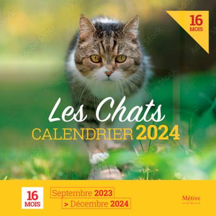 CALENDRIER 2024 - CHATS - XXX - METIVE