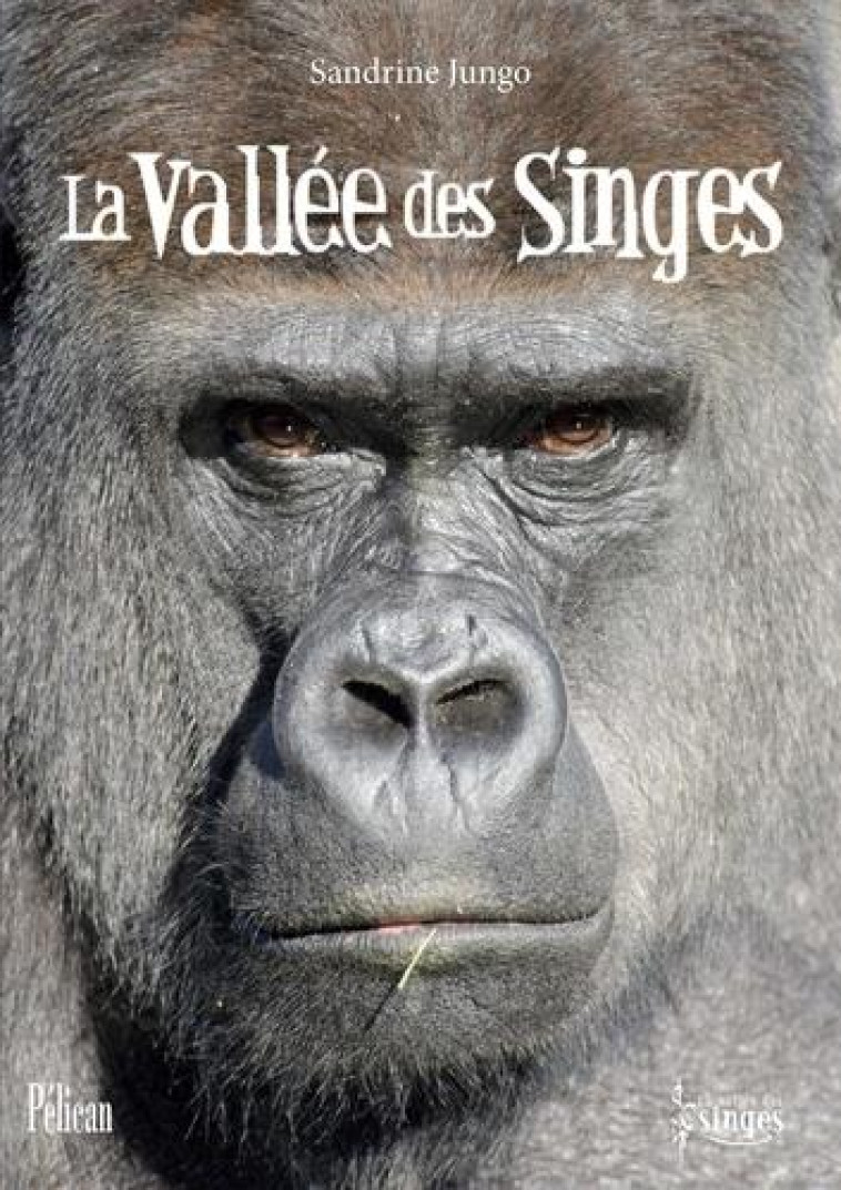 LA VALLEE DES SINGES - JUNGO SANDRINE - PELICAN