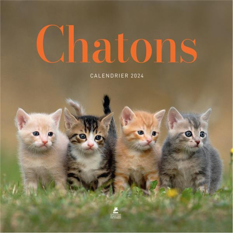 CALENDRIER CHATONS 2024 - COLLECTIF - PLACE VICTOIRES