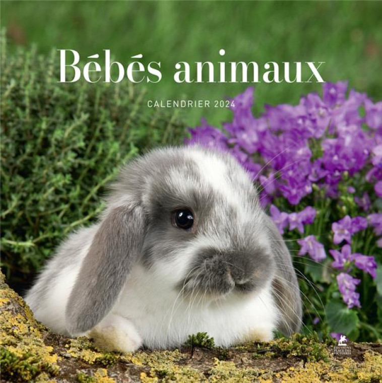 CALENDRIER BEBES ANIMAUX 2024 - COLLECTIF - PLACE VICTOIRES