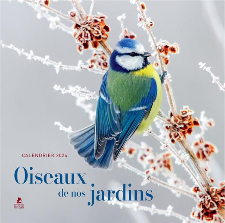 CALENDRIER OISEAUX DE NOS JARDINS 2024 - COLLECTIF - PLACE VICTOIRES