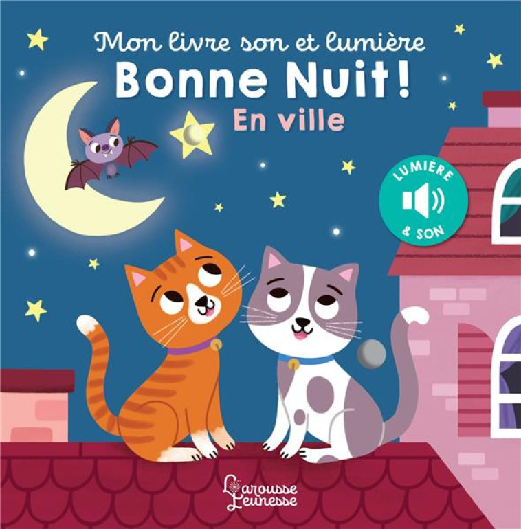 MON LIVRE SON ET LUMIERE : BONNE NUIT EN VILLE - DUDZIUK KASIA - LAROUSSE