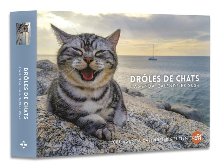 AGENDA - CALENDRIER DROLES DE CHATS 2024 - COLLECTIF - HUGO JEUNESSE