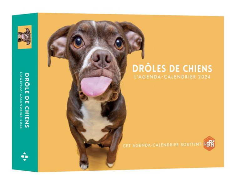 AGENDA - CALENDRIER DROLES DE CHIENS 2024 - COLLECTIF - HUGO JEUNESSE