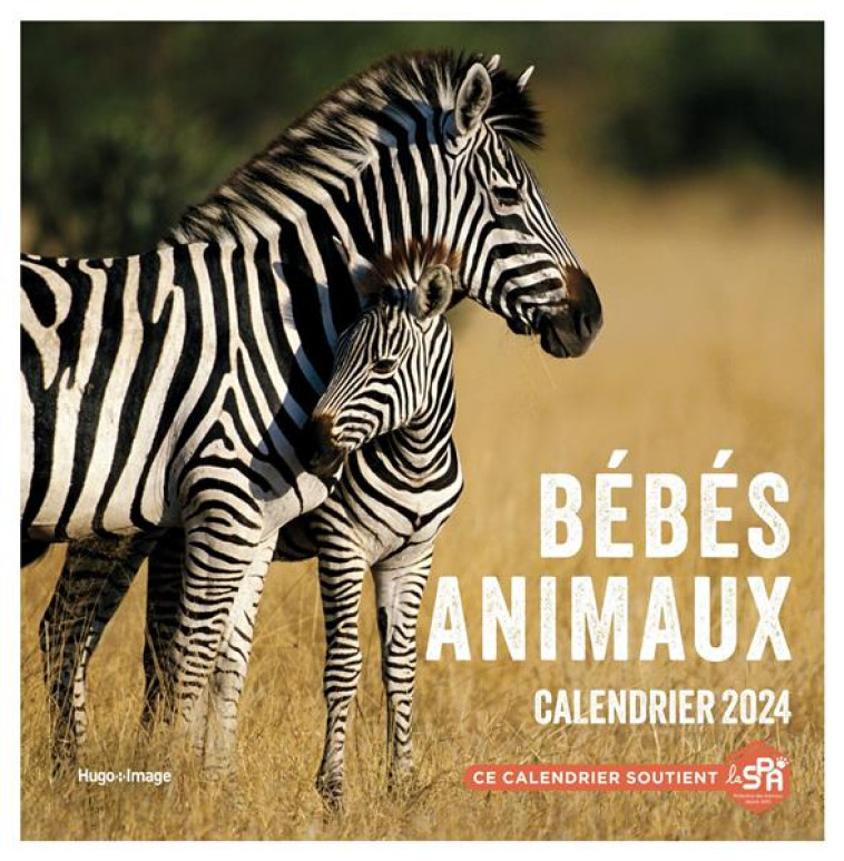 CALENDRIER MURAL BEBES ANIMAUX 2024 - COLLECTIF - NC