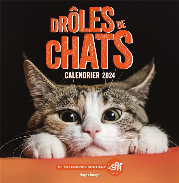 CALENDRIER MURAL DROLES DE CHATS 2024 - COLLECTIF - NC